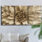 Three-panel canvas wall art featuring monochrome floral linework composition, displayed in a living room above a sofa.