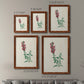 Traditional Botanical I - Premium Framed Canvas 2 Piece Set - Ready to Hang