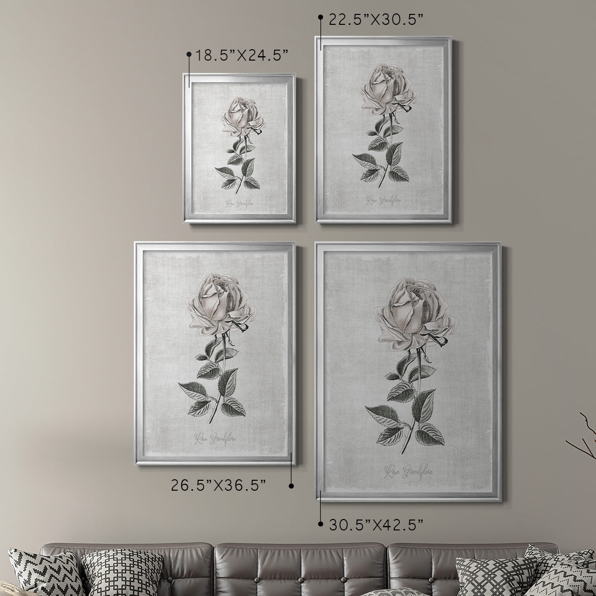 Vintage Botanical II - Modern Framed Canvas Print