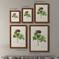 Pretty Pink Botanicals III - Premium Framed Canvas 2 Piece Set - Ready to Hang