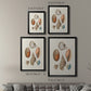 Knorr Shells & Coral I - Modern Framed Canvas Print