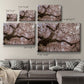 Spring's Arrival - Canvas Art Print