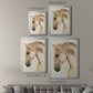 Golden Palomino II - Modern Framed Canvas Print