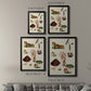 Mushroom Species IX - Modern Framed Canvas Print