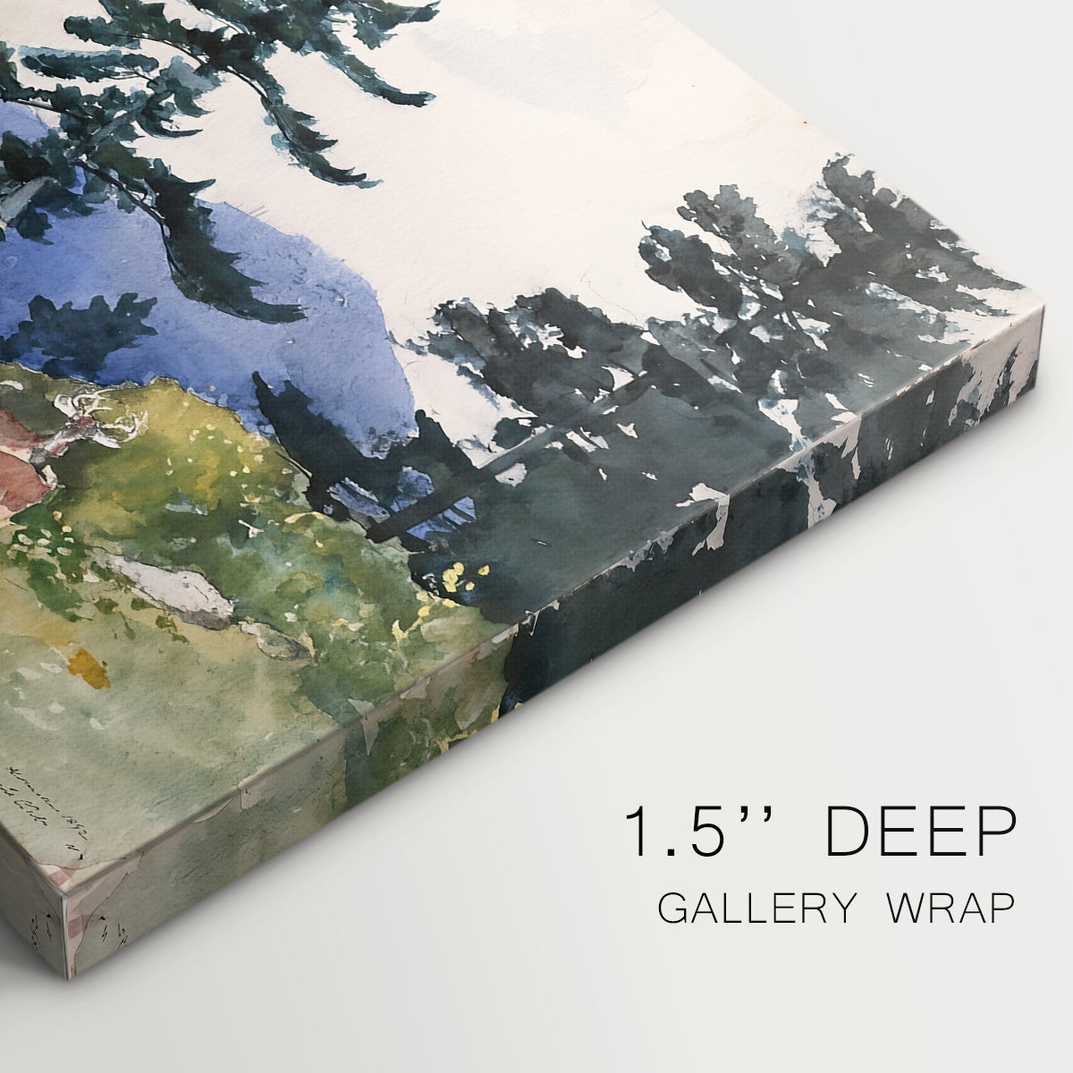 Canvas art print of a quiet forest clearing with trees and distant structure in natural setting, highlighting texture and gallery-wrapped edges