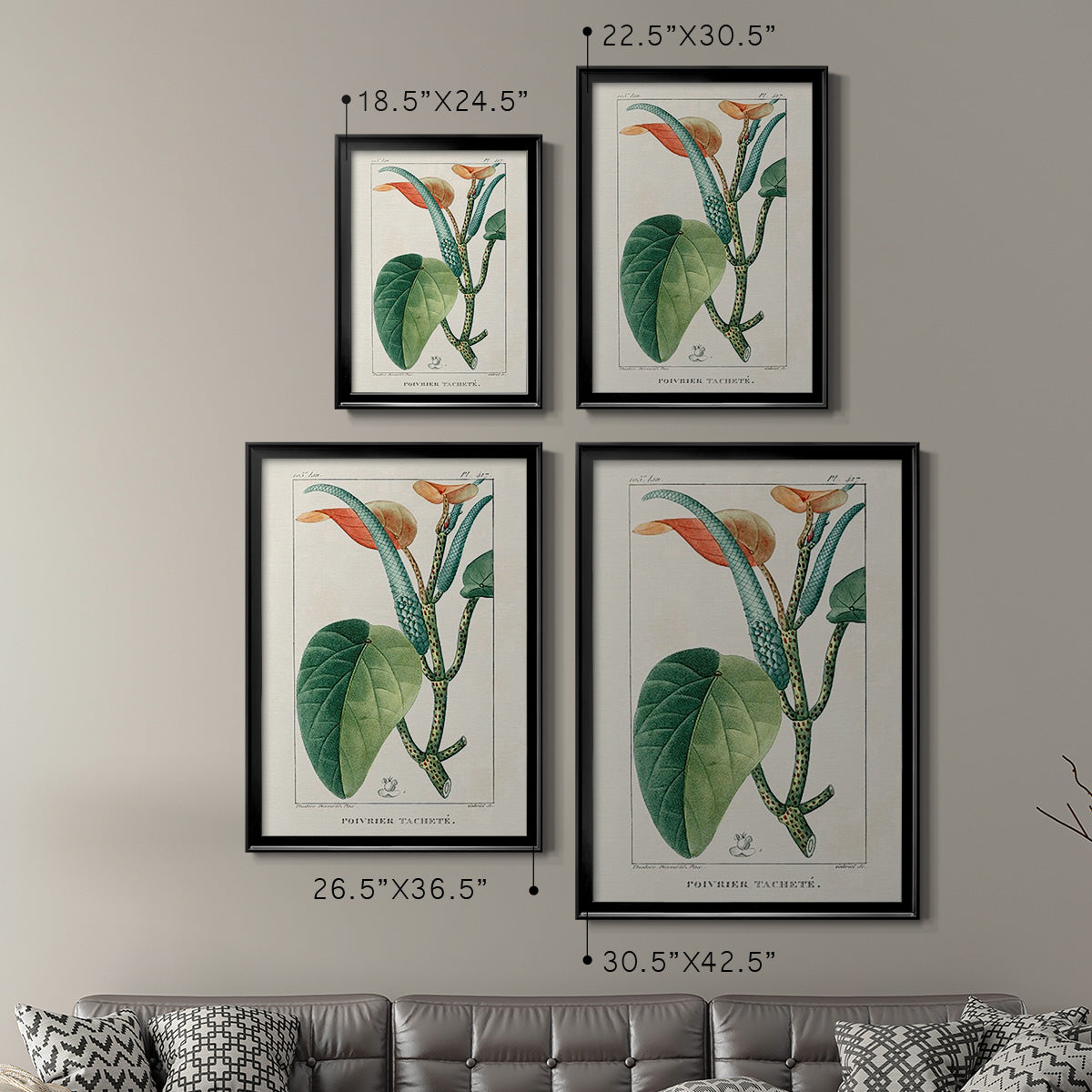 Turpin Tropical Botanicals II - Modern Framed Canvas Print