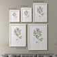 Eucalyptus I   - Premium Framed Canvas 2 Piece Set - Ready to Hang