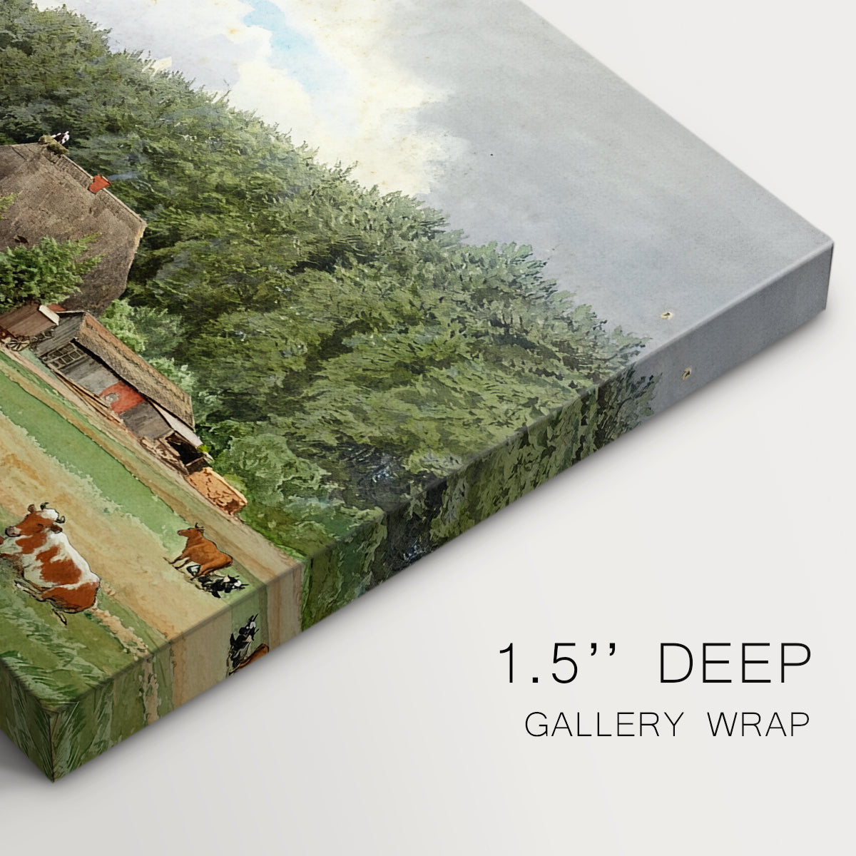 Canvas art print of cows grazing in pasture near farmhouse in rural countryside, highlighting texture and gallery-wrapped edges