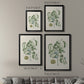 Buchoz Tropicals V - Modern Framed Canvas Print