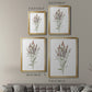 Dainty Botanical III - Modern Framed Canvas Print