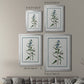 Shabby Chic Botanical I - Modern Framed Canvas Print