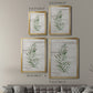 Tropic Frond I - Modern Framed Canvas Print
