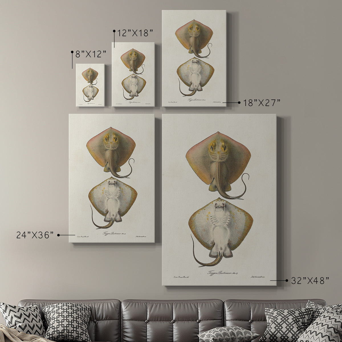 Antique Rays I Premium Gallery Wrapped Canvas - Ready to Hang