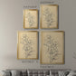 Magnolia Sketch I - Modern Framed Canvas Print