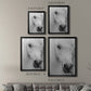 Island Pony I - Modern Framed Canvas Print