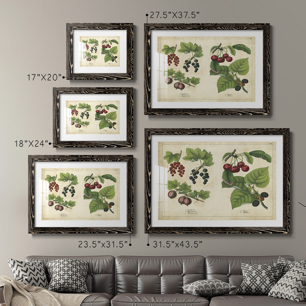 Kitchen Fruits III-Premium Framed Print - Ready to Hang