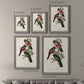 Elegant Trogons V - Premium Framed Canvas 2 Piece Set - Ready to Hang