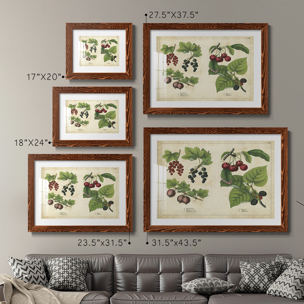 Kitchen Fruits III-Premium Framed Print - Ready to Hang