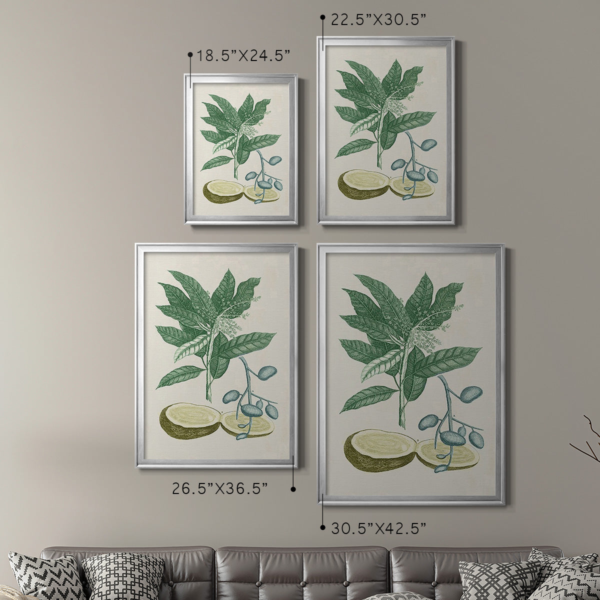 Buchoz Tropicals IV - Modern Framed Canvas Print