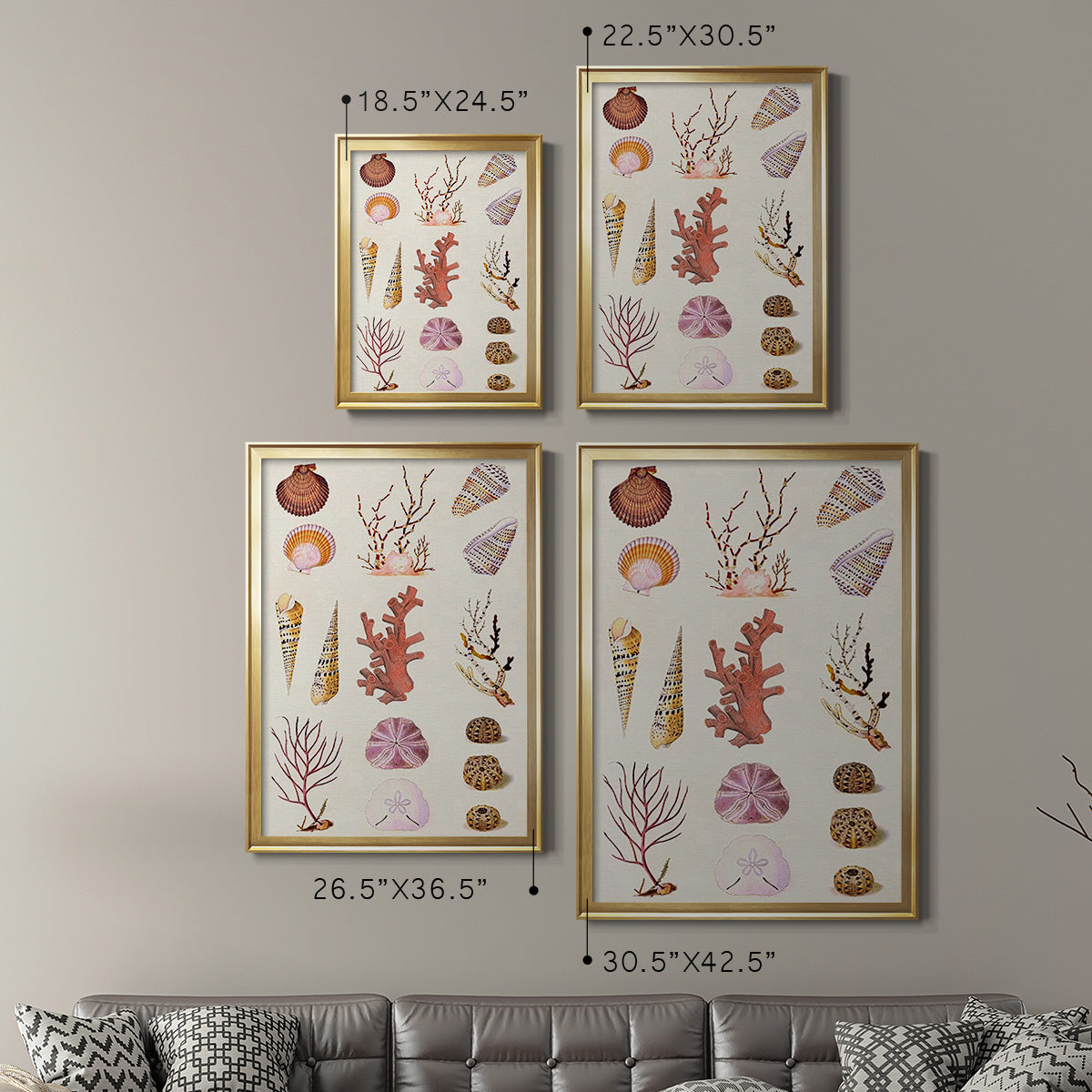Coral & Shell Collage II -  Framed Canvas Print