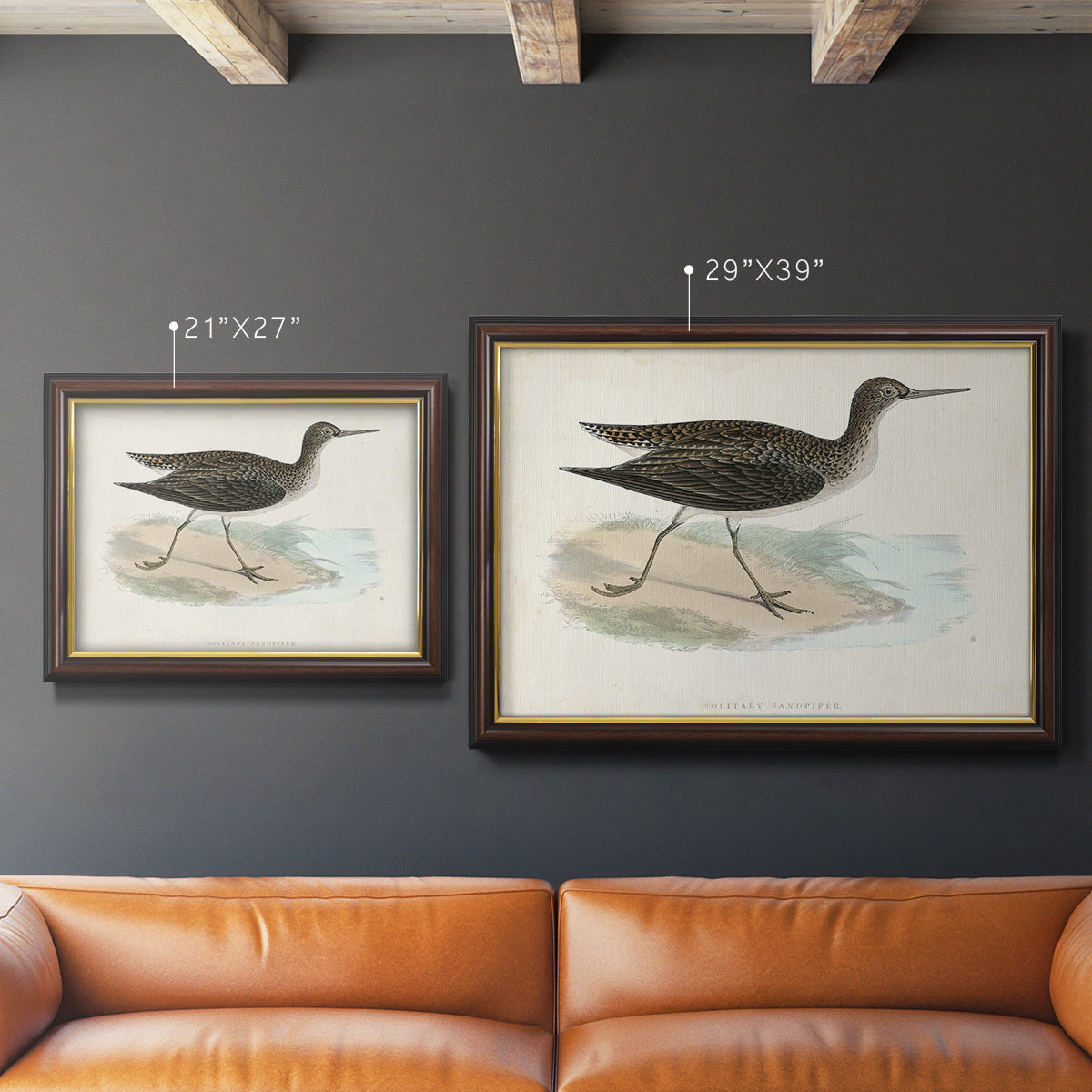 Morris Sandpipers VII Premium Framed Canvas- Ready to Hang