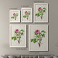 Pretty Pink Botanicals V - Premium Framed Canvas 2 Piece Set - Ready to Hang