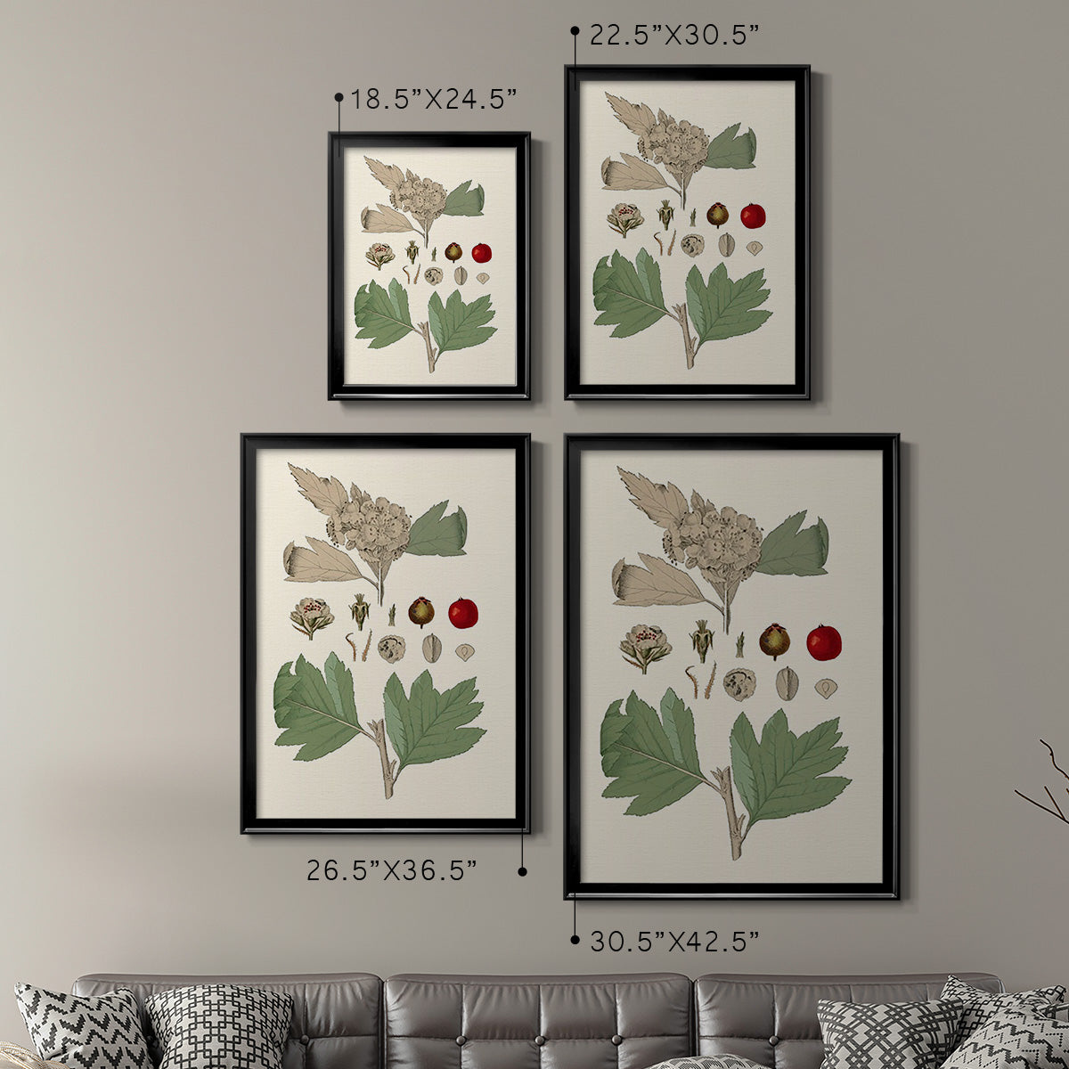 Leaves & Berries IV - Modern Framed Canvas Print