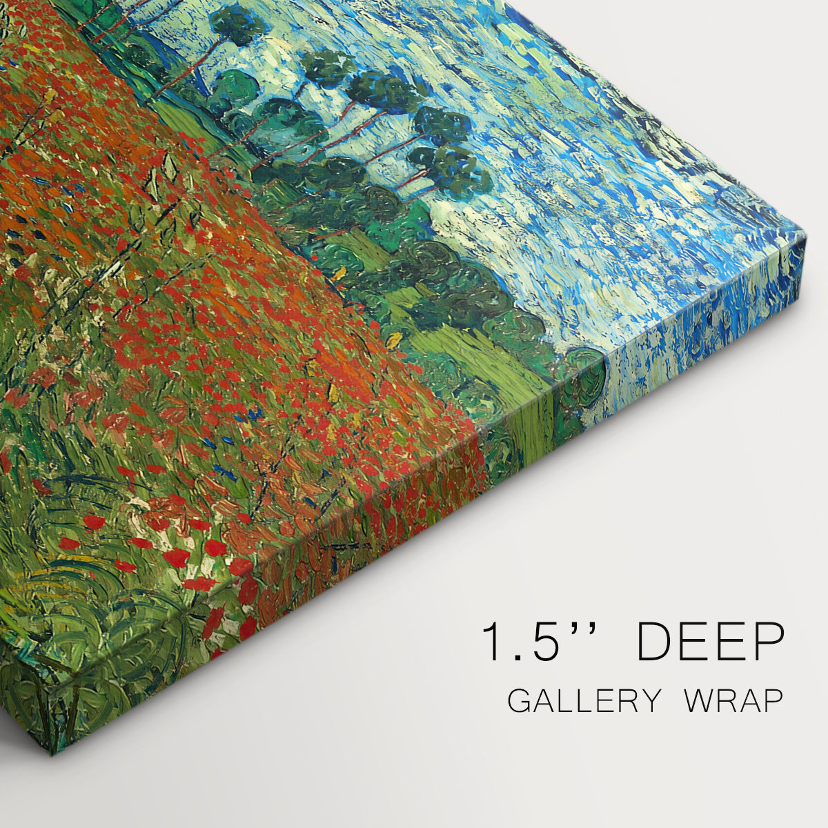 Canvas art print of a field dotted with red poppies stretching across green landscape, highlighting texture and gallery-wrapped edges