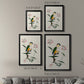 Bird in Habitat IV - Modern Framed Canvas Print