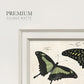 Crackled Butterflies II Premium Framed Print Double Matboard