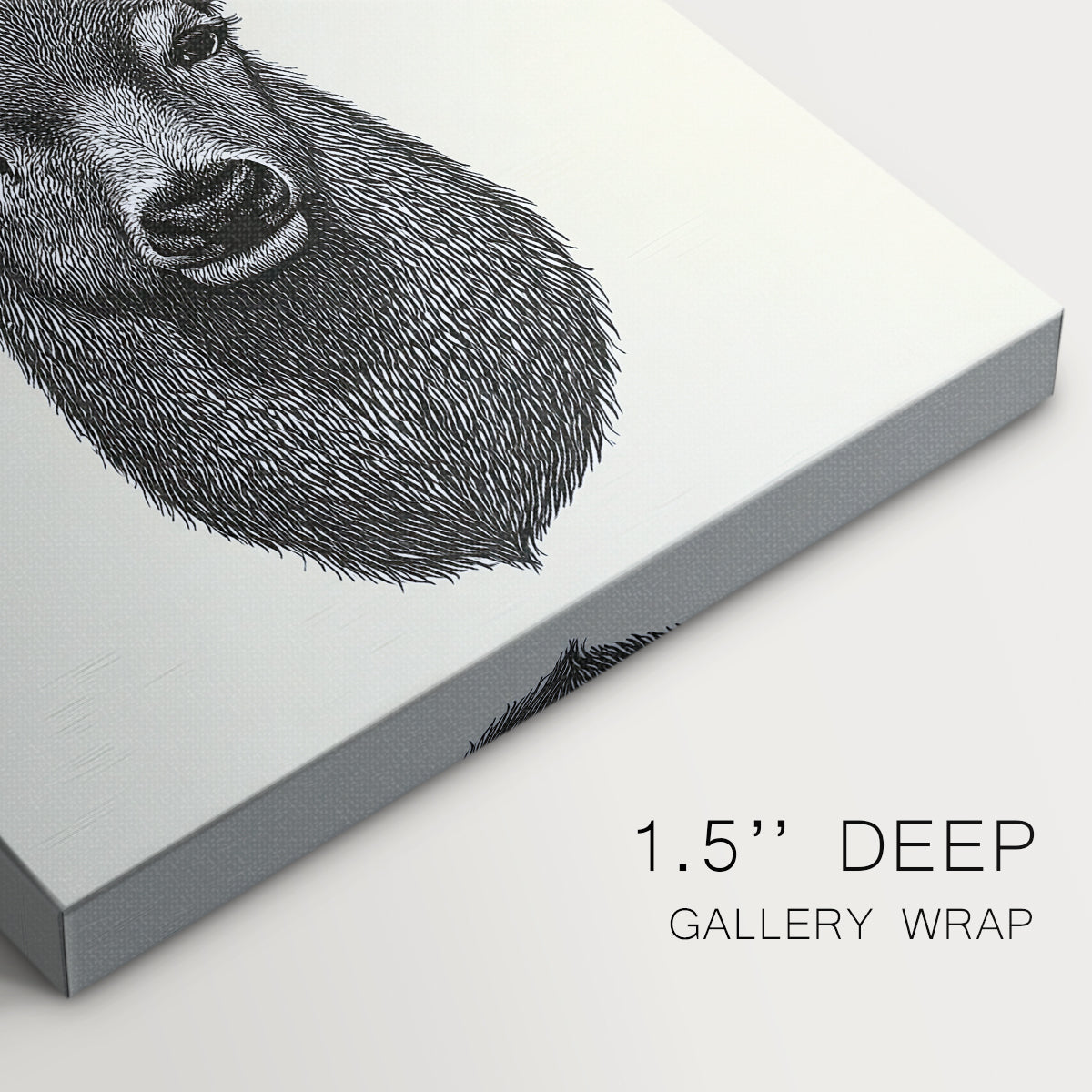 Snowwhite Skies Parish - Canvas Art Print