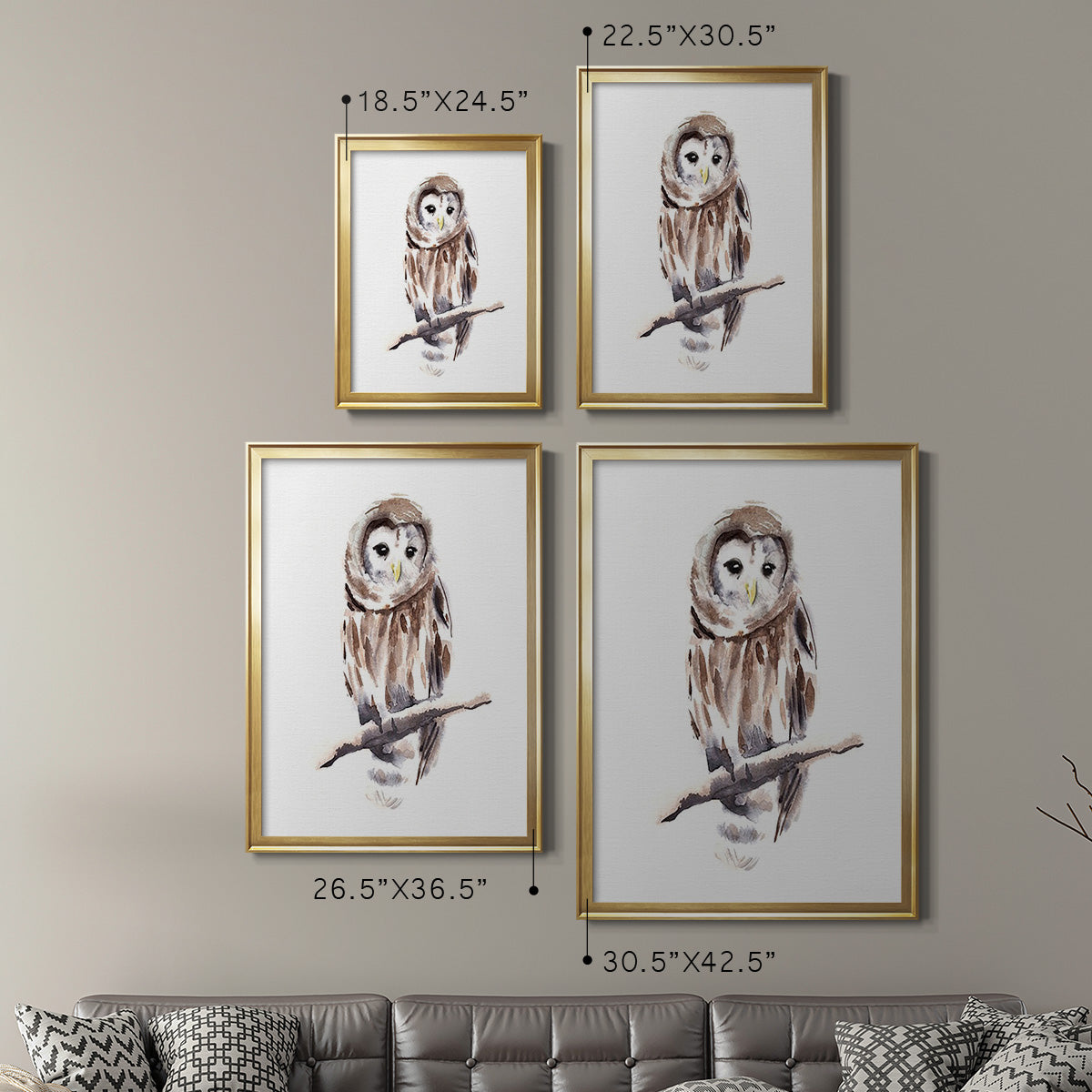 Barred Owl Impressions I - Modern Framed Canvas Print