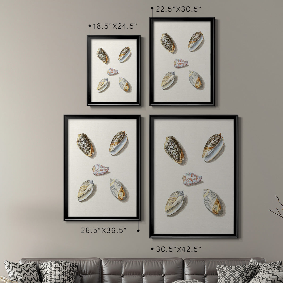 Pastel Knorr Shells III - Modern Framed Canvas Print