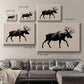 Wild Ambler I Premium Gallery Wrapped Canvas - Ready to Hang