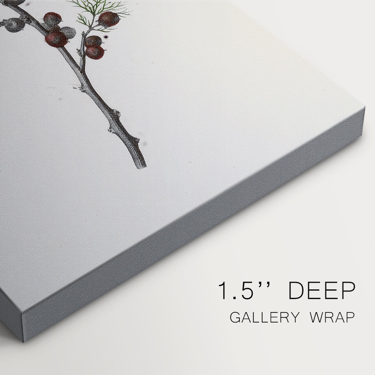 Frostlit Blessing of Cathedral - Canvas Art Print