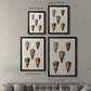 Cone Shell Collection II - Modern Framed Canvas Print