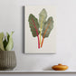 Organic Veg V Premium Gallery Wrapped Canvas - Ready to Hang