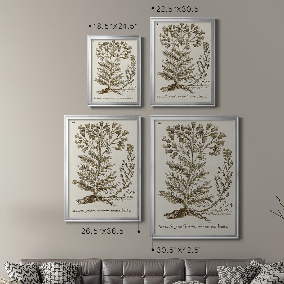 Sepia Botanical Journal I - Modern Framed Canvas Print