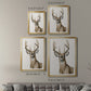 Handsome Whitetail I - Modern Framed Canvas Print