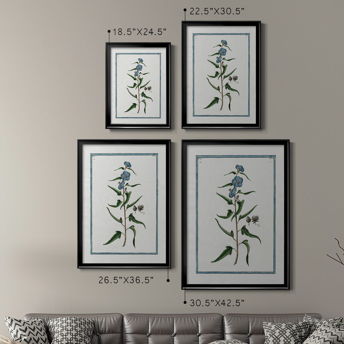 Shabby Chic Botanical I - Modern Framed Canvas Print