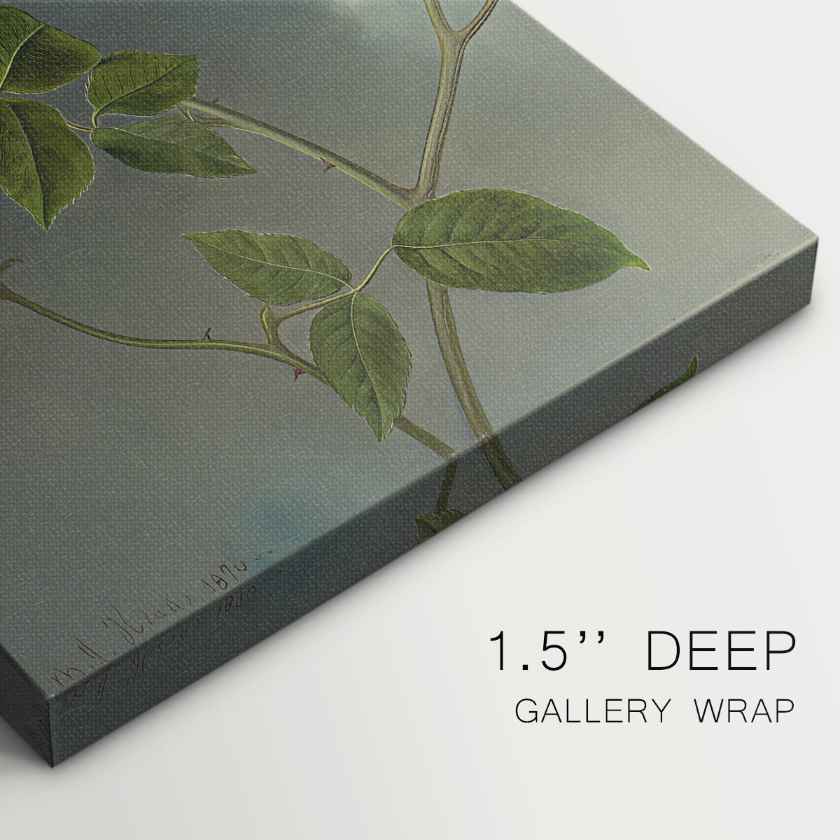 Close-up of a gallery-wrapped canvas corner showing a classic still life with balanced color, highlighting texture and print detail.