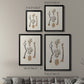 Knorr Shells & Coral V - Modern Framed Canvas Print