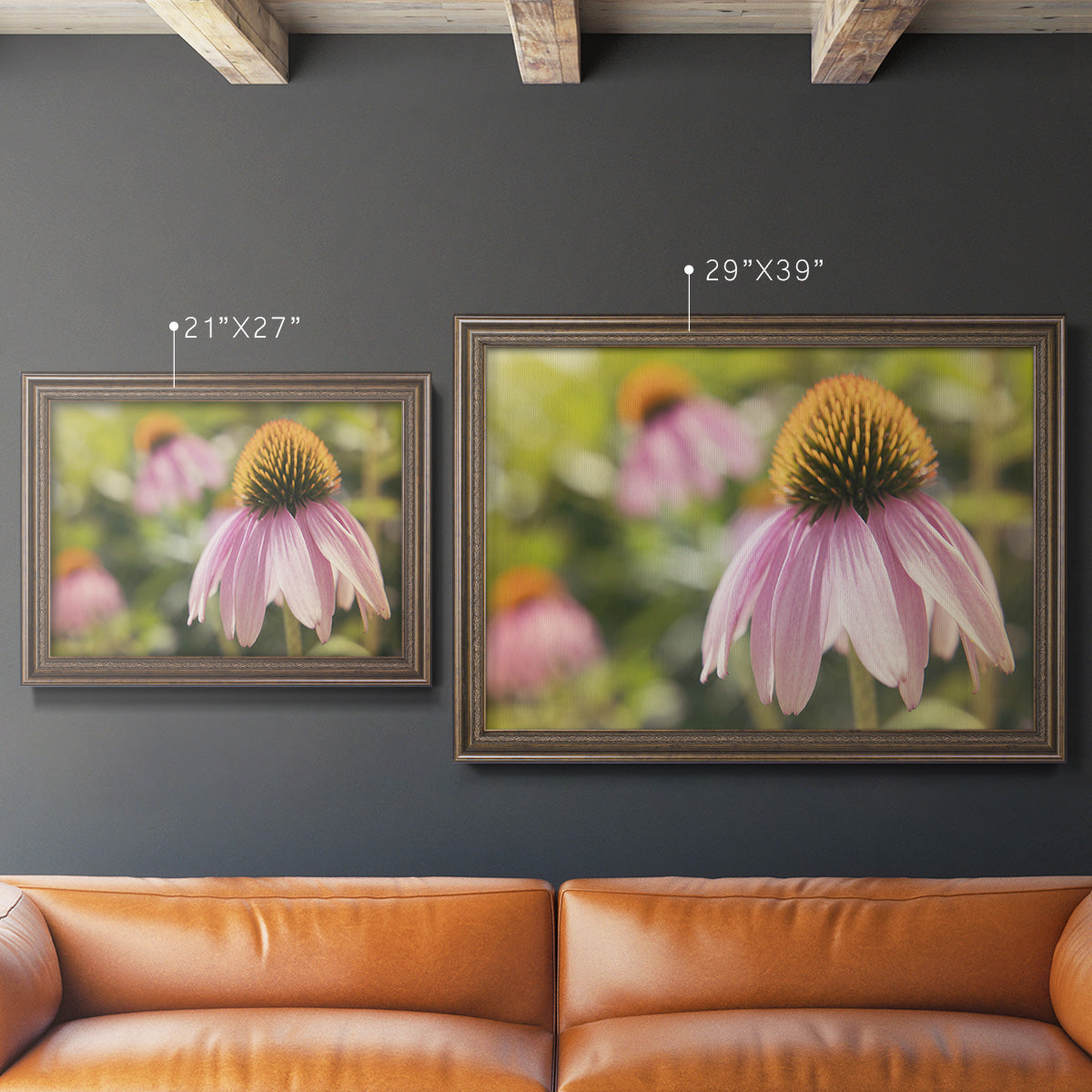 Echinacea Study I Premium Framed Canvas- Ready to Hang