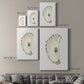 Neutral Oyster Study II  Premium Gallery Wrapped Canvas - Ready to Hang