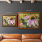 Echinacea Study I Premium Framed Canvas- Ready to Hang