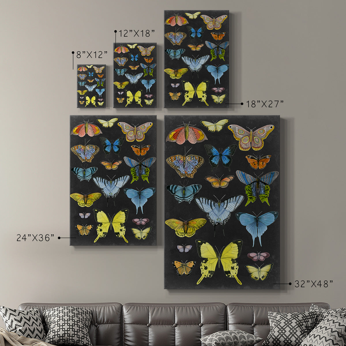 Graphic Butterfly Taxonomy II Premium Gallery Wrapped Canvas - Ready to Hang