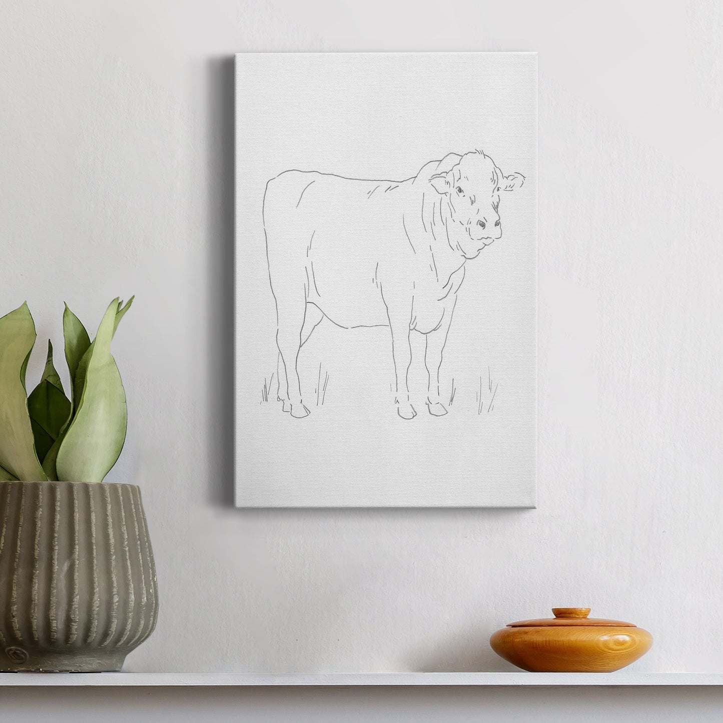 Limousin Cattle I  Premium Gallery Wrapped Canvas - Ready to Hang