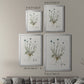 Bellflower Study - Modern Framed Canvas Print