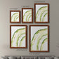 Lichen Halo I - Premium Framed Canvas 2 Piece Set - Ready to Hang