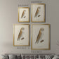 French Owls VI - Modern Framed Canvas Print